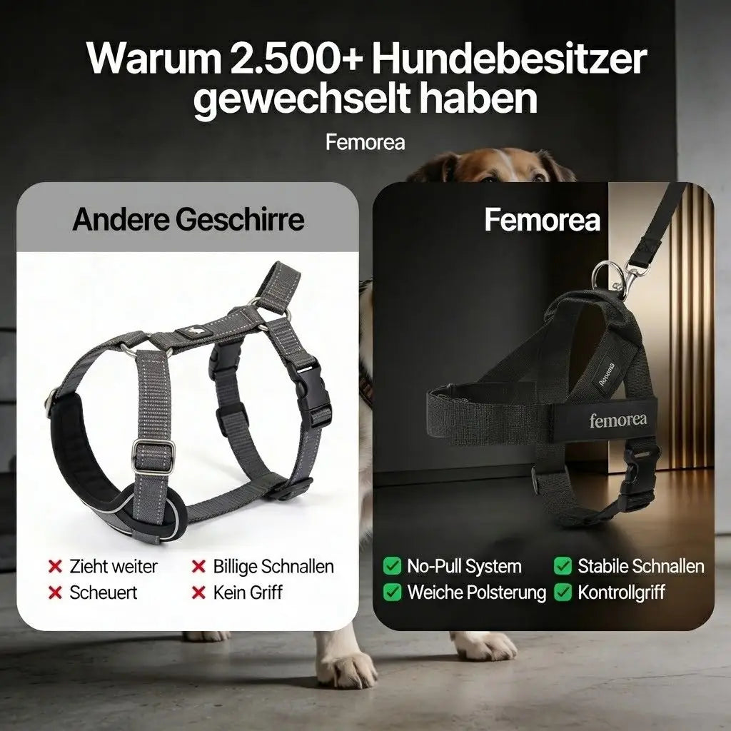 No-Pull Hundegeschirr