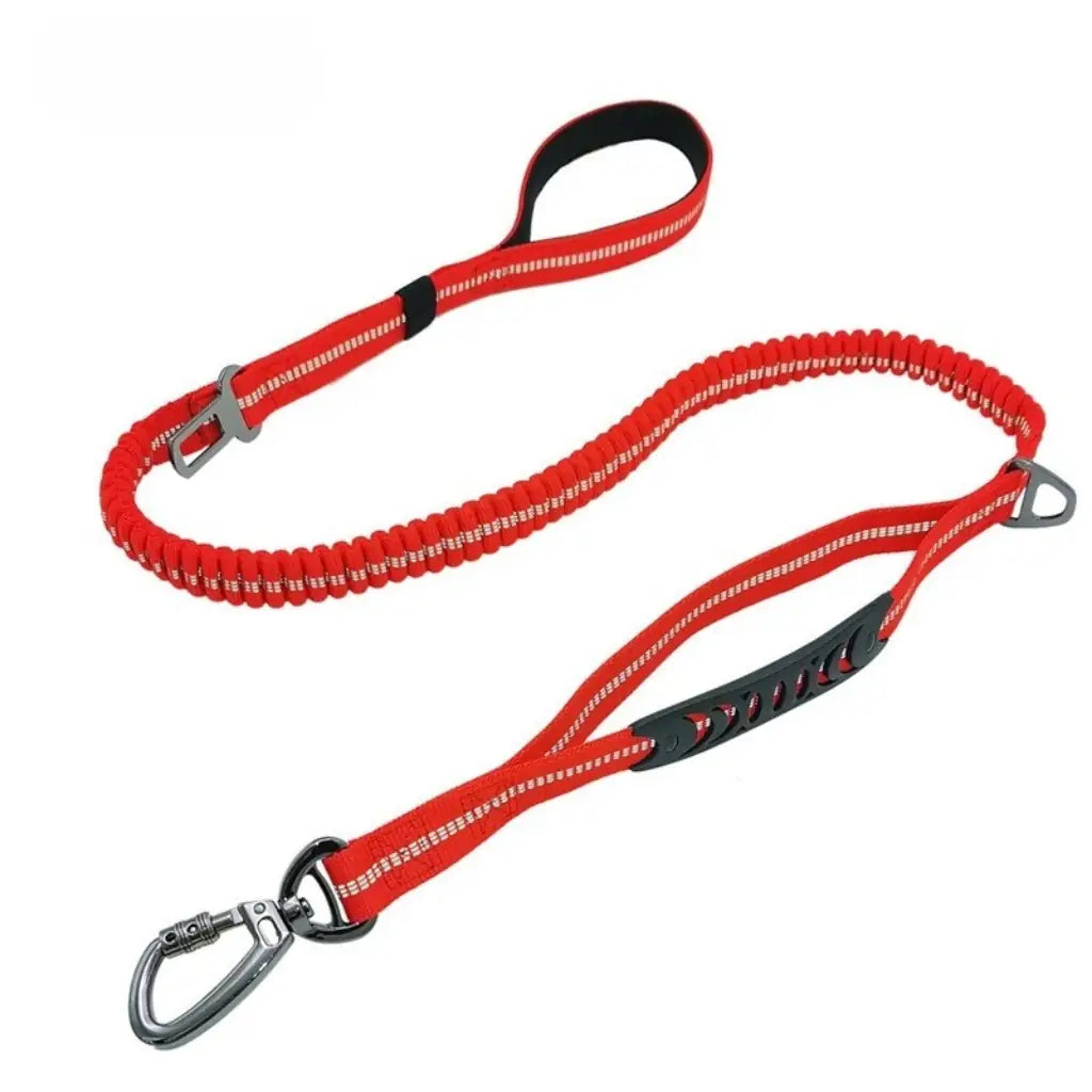Anti-Schock Leine (3-in-1)